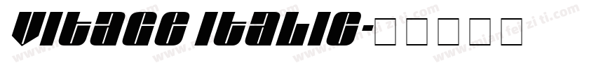 Vitage Italic字体转换